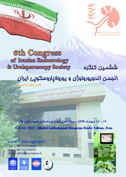 ششمین کنگره انجمن اندویورولوژی و یورولاپاراسکوپی ایران